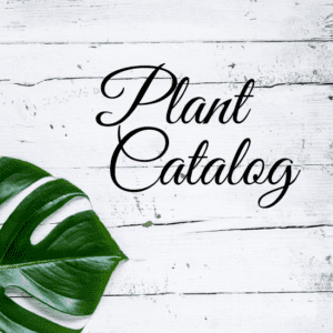Plant Catalog
