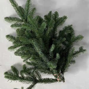 Noble Fir Bunch