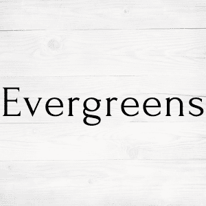 Evergreens