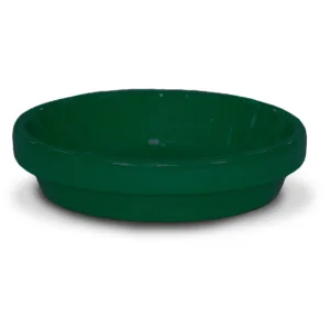 Standard Saucer- Hunter Green