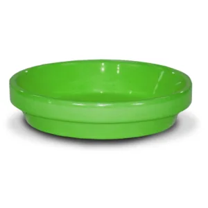 Standard Saucer- Bright Green
