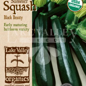 Squash Summer Black Beauty Organic Seed Pack LV