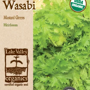 Mustard Greens Wasabi Organic Seed Pack LV