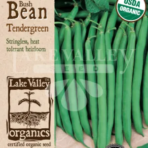Bean Bush Tendergreen Organic Seed Pack LV