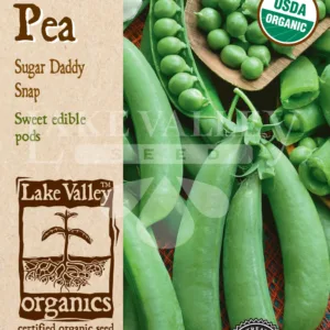 Pea Sugar Daddy Snap Organic Seed Pack LV