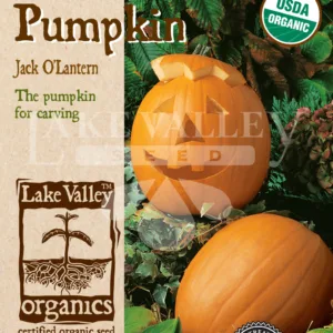 Pumpkin Jack O'Lantern Organic Seed Pack LV