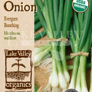 Onion Evergreen Bunching Organic Seed Pack LV