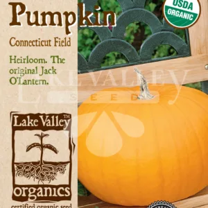 Pumpkin Connecticut Field Organic Seed Pack LV