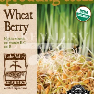 Sprouts Wheat Berries Organic Seed Pack LV