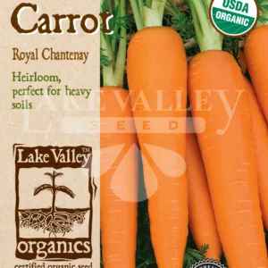 Carrot Royal Chantenay Organic Seed Pack LV