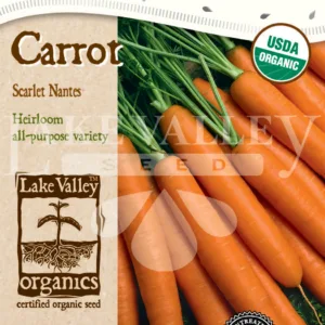 Carrot Scarlet Nantes Organic Seed Tape LV