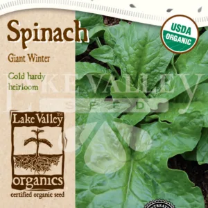 Spinach Giant Winter Organic Seed Tape LV