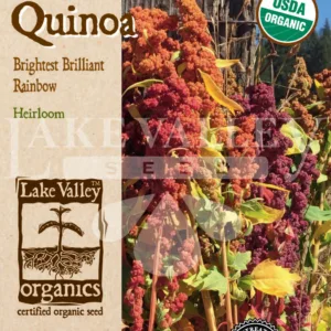 Quinoa Brightest Brilliant Rainbow Organic Seed Pack LV