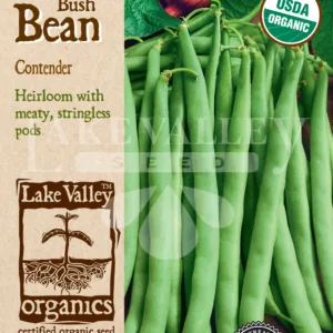 Bean Bush Contender Organic Seed Pack LV