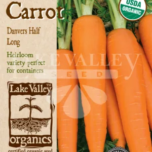Carrot Danvers Half Long Organic Seed Pack LV