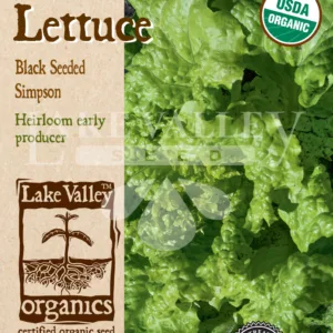 Lettuce Black Seeded Simpson Organic Seed Pack LV