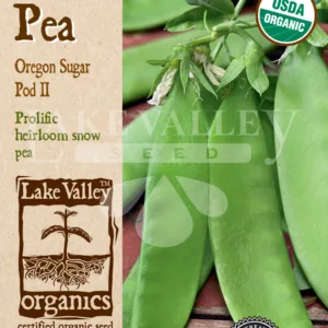 Pea Oregon Sugar Pod II Organic Seed Pack LV