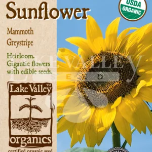 Sunflower Mammoth Greystripe Organic Seed Pack LV