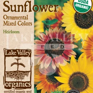 Sunflower Ornamental Dwarf Organic Seed Pack LV