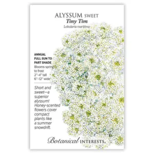 Alyssum Sweet Tiny Tim Seed Pack