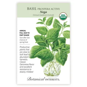 Basil Noga Seed Pack