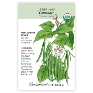 Bean Bush Contender Organic Seed Pack