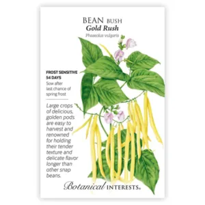 Bean Bush Gold Rush Organic Seed Pack
