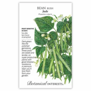 Bean Bush Jade Large Seed Pack
