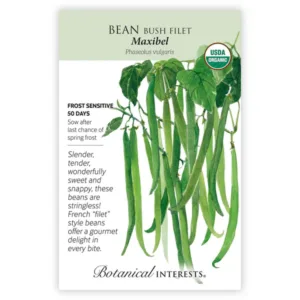 Bean Bush Maxibel Organic Seed Pack