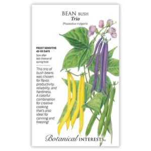 Bean Bush Trio Large Seed Pack