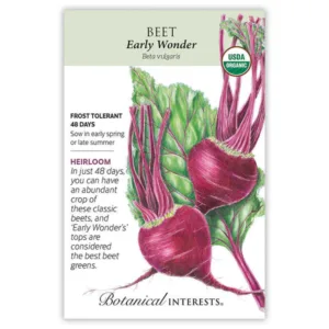 Beet Early Wonder Organic Seed Pack