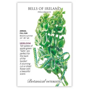 Bells of Ireland Seed Pack