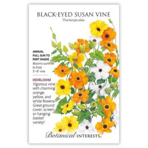 Black-Eyed Susan Vine Seed Pack