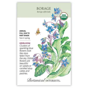 Borage Organic Seed Pack