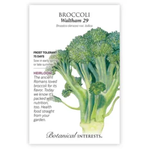 Broccoli Waltham 29 Seed Pack