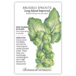 Brussels Sprouts Long Island Improved Seed Pack