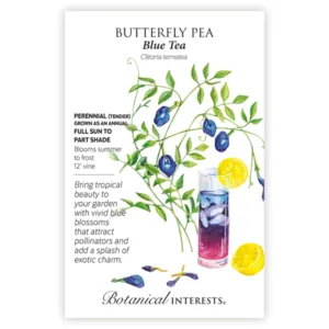 Butterfly Pea Blue Tea Seed Pack