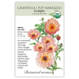 Calendula Zeolights Organic Seed Pack