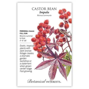 Castor Bean Impala Seed Pack