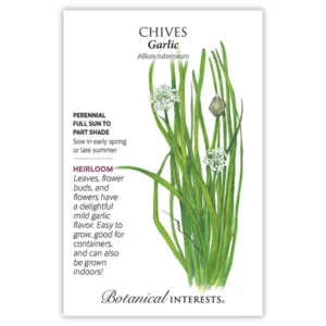 Chives Chinese Garlic Seed Pack