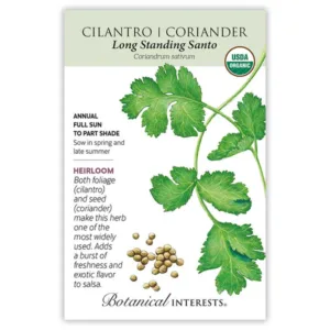 Cilantro Coriander Long Standing Santo Organic Seed Pack