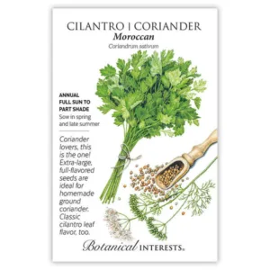Cilantro Coriander Moroccan Seed Pack