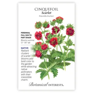 Cinquefoil Scarlet Seed Pack