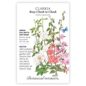 Clarkia Rosy Cheek to Cheek Seed Pack