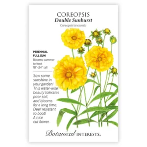 Coreopsis Double Sunburst Seed Pack