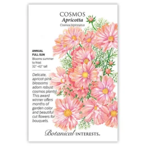Cosmos Apricotta Seed Pack