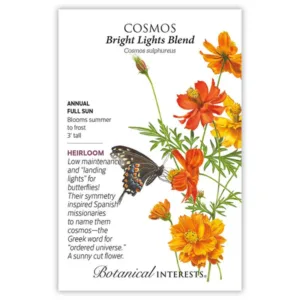 Cosmos Bright Lights Blend Seed Pack