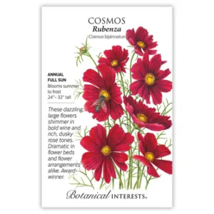 Cosmos Rubenza Seed Pack