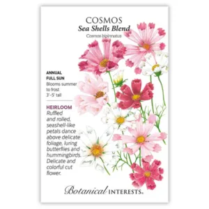 Cosmos Sea Shells Blend Seed Pack