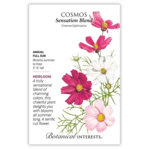 Cosmos Sensation Blend Seed Pack